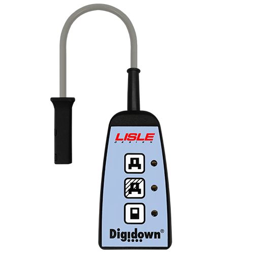 Digidown Standard